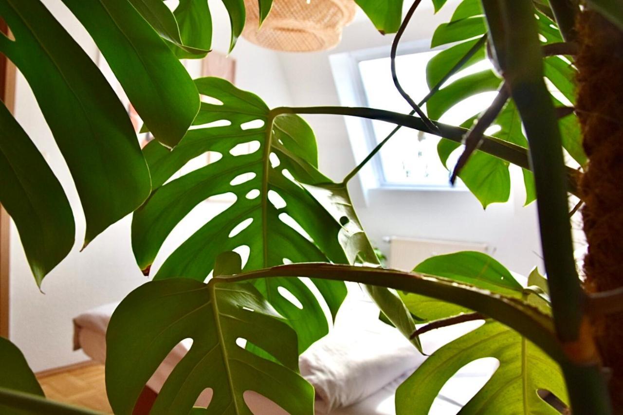 Apartment Greenbnbs: Cozy Urban Jungle In The Centre Essen