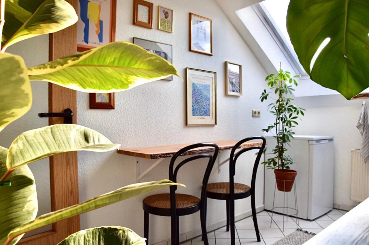 Greenbnbs: Cozy Urban Jungle In The Centre Apartment Essen